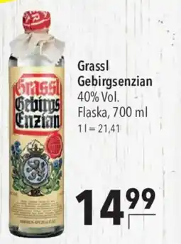 CITTI Markt Grassl Gebirgsenzian Angebot
