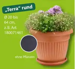 Sonderpreis Baumarkt Pflanztopf "Terra" rund Angebot