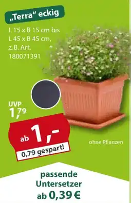 Sonderpreis Baumarkt "Terra" eckig Angebot