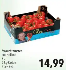 CITTI Markt Red Vine Strauchtomaten Angebot