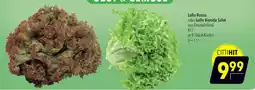 CITTI Markt Lollo Rosso oder Lollo Bionda Salat Angebot