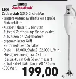 CITTI Markt Esge Zauberstab G350 Gastro Max Angebot
