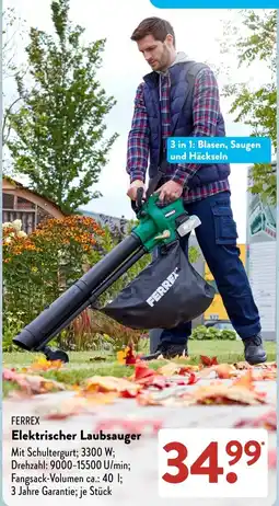Aldi Süd FERREX Elektrischer Laubsauger Angebot