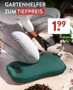 Aldi Süd Kniekissen Angebot