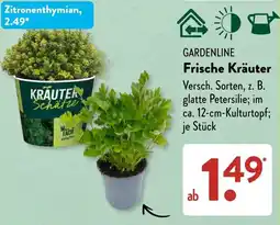 Aldi Süd GARDENLINE Frische Kräuter Angebot