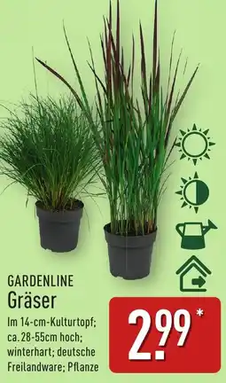Aldi Nord GARDENLINE Gräser Angebot