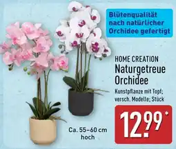 Aldi Nord HOME CREATION Naturgetreue Orchidee Angebot
