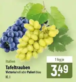 Famila Nord Ost Tafeltrauben Victoria Angebot