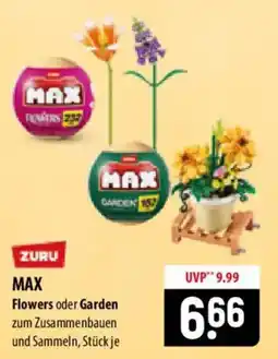 Famila Nord Ost ZURU MAX Flowers oder Garden Angebot