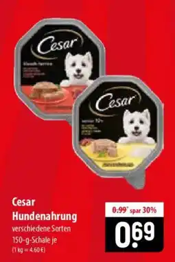 Famila Nord Ost Cesar Hundenahrung Angebot