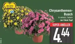 E-Center Chrysanthemen-Busch Angebot