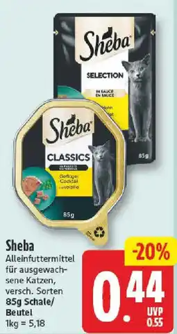 NP Discount Sheba Angebot