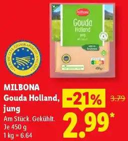 Lidl MILBONA Gouda Holland, jung Angebot