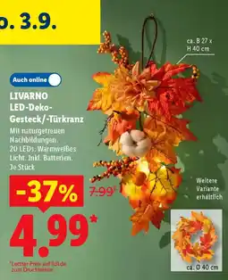 Lidl LIVARNO LED-Deko-Gesteck/Türkranz Angebot