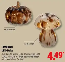 Lidl LIVARNO LED-Deko Angebot