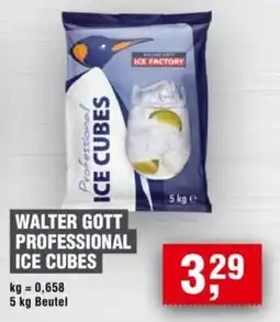 Handelshof WALTER GOTT PROFESSIONAL ICE CUBES Angebot