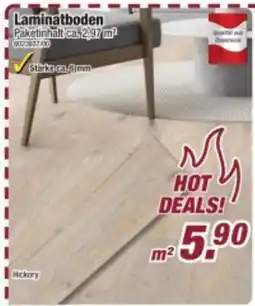 Poco Laminatboden Hickory Angebot