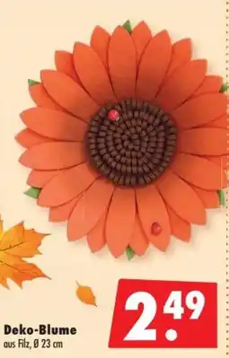 Mäc Geiz Deko-Blume aus Filz Angebot