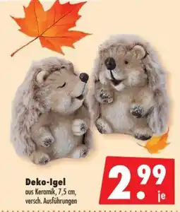 Mäc Geiz Deko-Igel Angebot