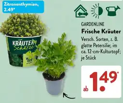 Aldi Süd GARDENLINE Frische Kräuter Angebot