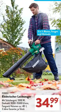 Aldi Süd FERREX Elektrischer Laubsauger Angebot
