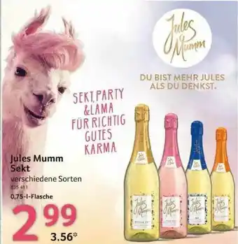 Selgros Jules Mumm Sekt Angebot