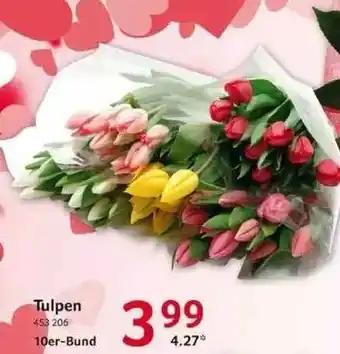 Selgros Tulpen Angebot