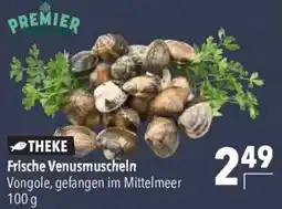 CITTI Markt THEKE Frische Venusmuscheln Angebot