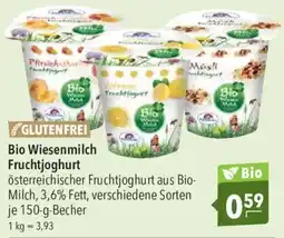 CITTI Markt Bio Wiesenmilch Fruchtjoghurt Angebot