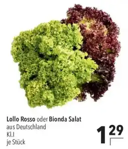 CITTI Markt Lollo Rosso oder Bionda Salat Angebot