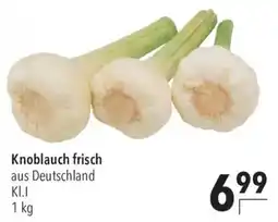 CITTI Markt Knoblauch frisch Angebot