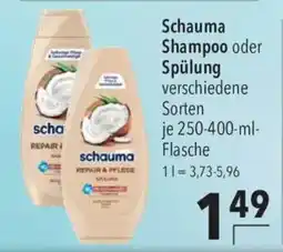 CITTI Markt Schauma Shampoo oder Spülung Angebot