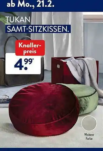 Aldi Süd Tukan Samt-sitzkissen Angebot