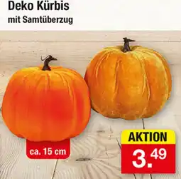 Zimmermann Deko Kürbis mit Samtüberzug Angebot