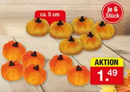 Zimmermann Kürbisse Angebot