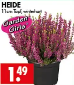 Wreesmann HEIDE Garden Girls Angebot
