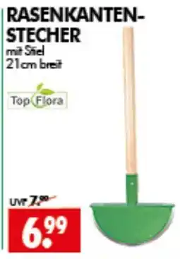 Wreesmann RASENKANTEN-STECHER mit Stiel Top Flora Angebot