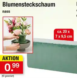 Zimmermann Blumensteckschaum nass Angebot