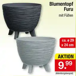 Zimmermann Blumentopf Furu mit Füßen Angebot