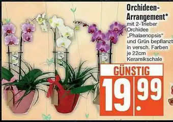 Edeka Orchideen-arrangement Angebot