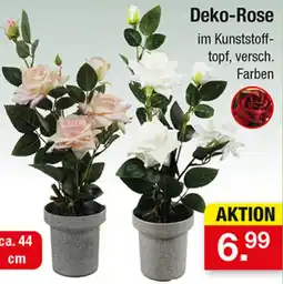 Zimmermann Deko-Rose Angebot