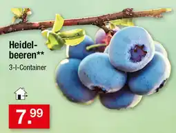 Zimmermann Heidelbeeren** Angebot