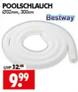 Wreesmann POOLSCHLAUCH Bestway Angebot