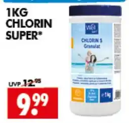 Wreesmann CHLORIN SUPER Angebot