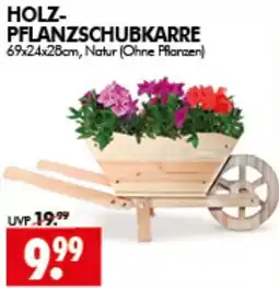 Wreesmann HOLZ-PFLANZSCHUBKARRE Angebot