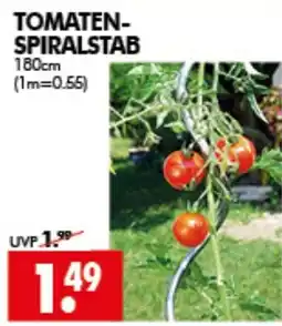 Wreesmann TOMATEN-SPIRALSTAB Angebot