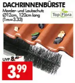 Wreesmann Dachrinnenbürste Top Flora Angebot