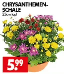 Wreesmann CHRYSANTHEMEN-SCHALE Angebot
