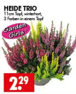 Wreesmann HEIDE TRIO Garden Girls Angebot