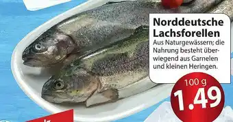 Famila Nord Ost Norddeutsche Lachsforellen Angebot